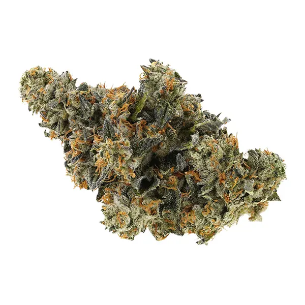 Bud image for BC Organic Hollywood MAC, cannabis all products by Simply Bare