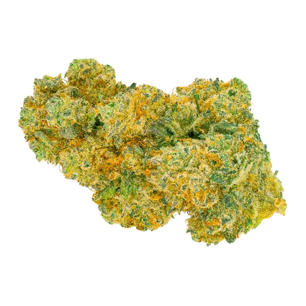 Product image for San Rafael '71 Cannabis Flower by Aurora Cannabis