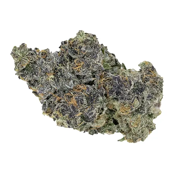 Product image for Pistol and Paris Cannabis Flower by 