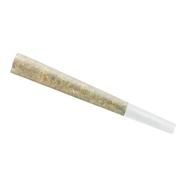 Image for Blue Dream Pre-Roll, cannabis all products by Spinach