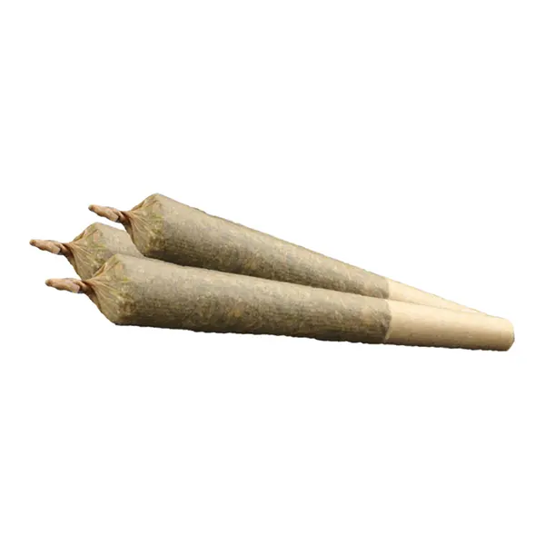 Blue Iguana Pre-Rolls