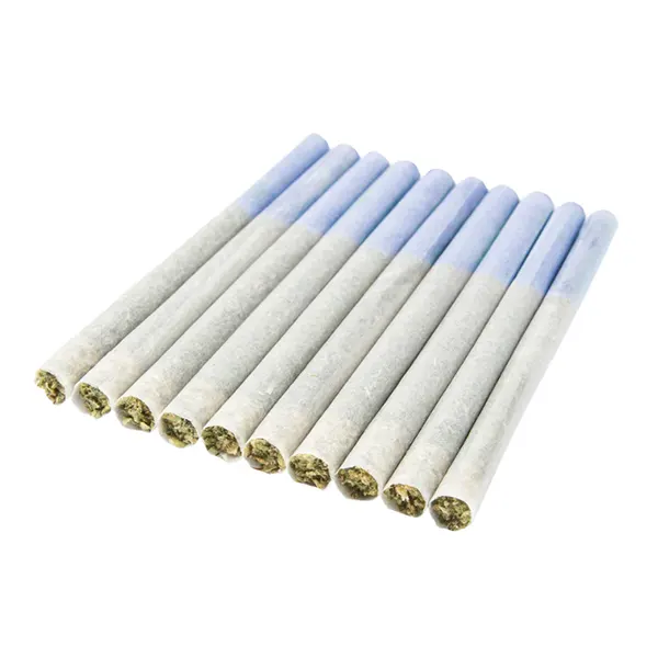 Image for Blue Pre-Roll, cannabis all products by PINNRZ