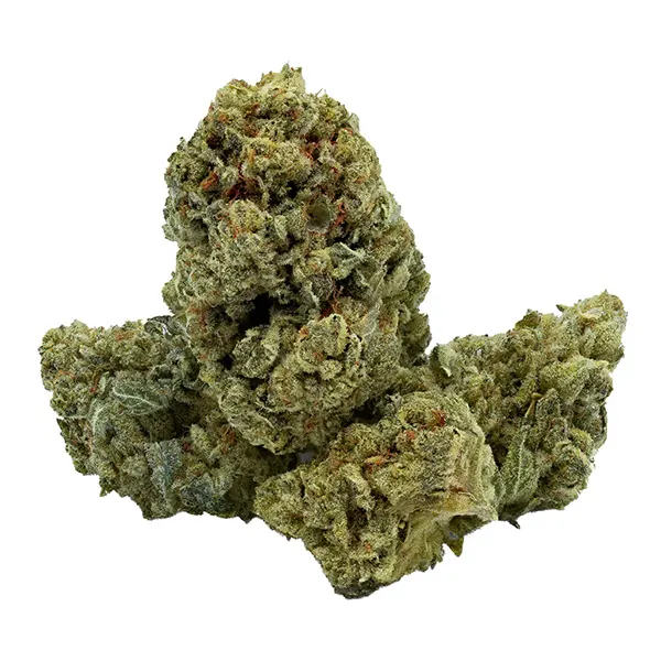 Bud image for Blue Zello, cannabis all products by Endgame