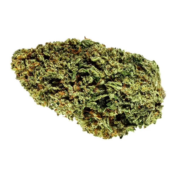 Bud image for Blueberry, cannabis all products by Divvy