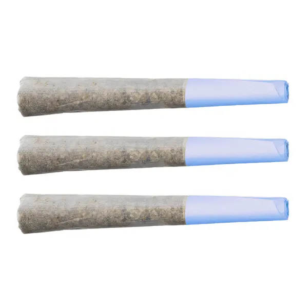 Blueberry Burst Pre-Roll (Pre-Rolls) by Terp Gush