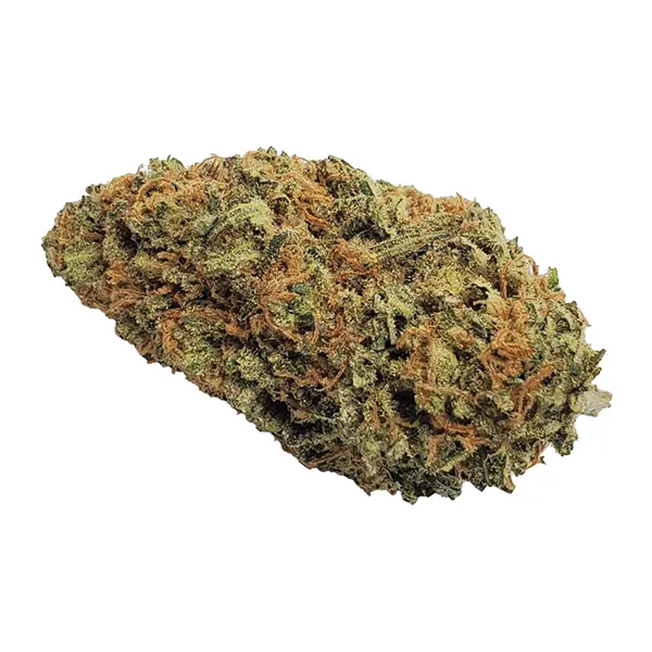 Bud image for Blueberry Seagal, cannabis dried flower by Color Cannabis