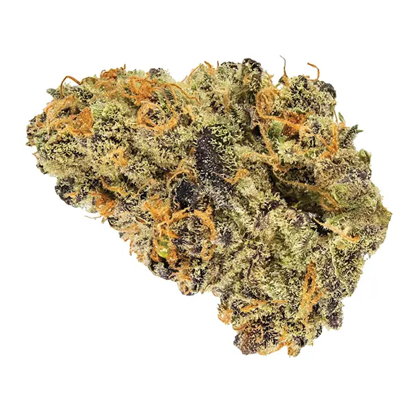 Bud image for Blueberry Tart, cannabis dried flower by Potluck