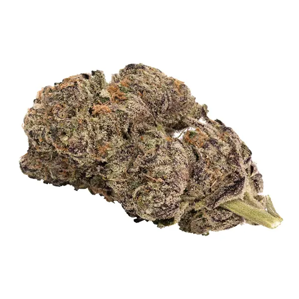 Bud image for Blueberry Yum Yum, cannabis dried flower by 5 Points Cannabis