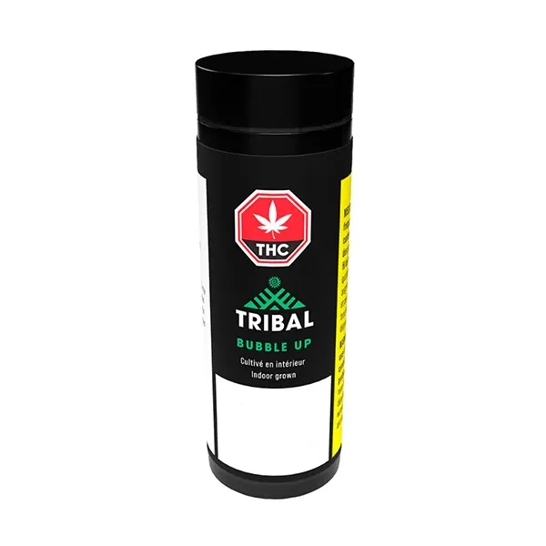 Image for Bubble Up Pre-Roll, cannabis all products by Tribal