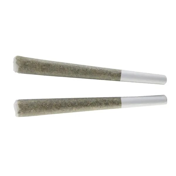 Product image for BC Doobies Cannabis Flower by Joint Venture Craft Cannabis Inc.