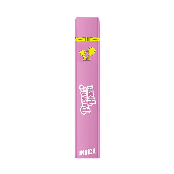 Indica RNTZ Disposable Pen