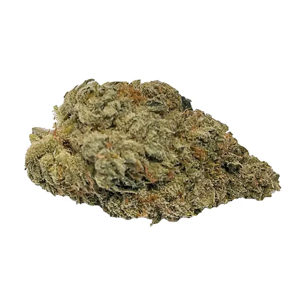 Bud image for Donair Kush, cannabis all products by Truro