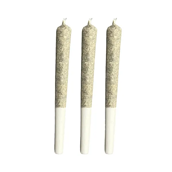 Image for Titanimal Pre-Roll, cannabis all products by Truro