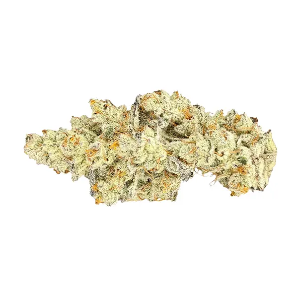 Bud image for Caps Junky, cannabis all products by Truro