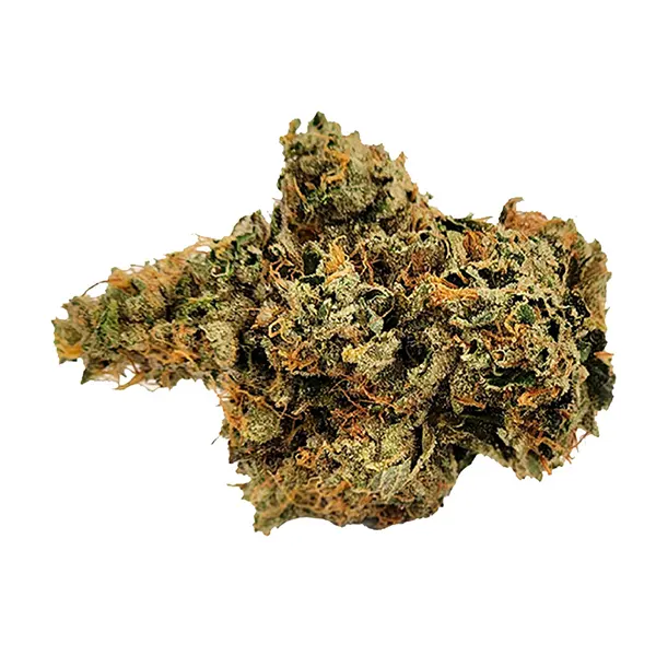 Bud image for Tres Dawg x I-95, cannabis all products by Truro