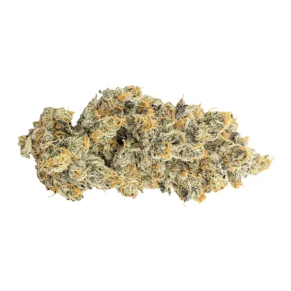 Bud image for Jealousy X Apples & Bananas, cannabis all products by Truro