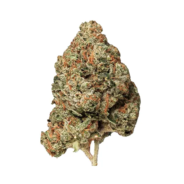 Bud image for Island Pink Kush, cannabis all products by Kronic