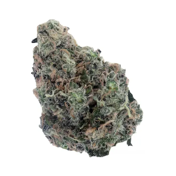 Bud image for Gorilla Breath, cannabis all products by Kronic