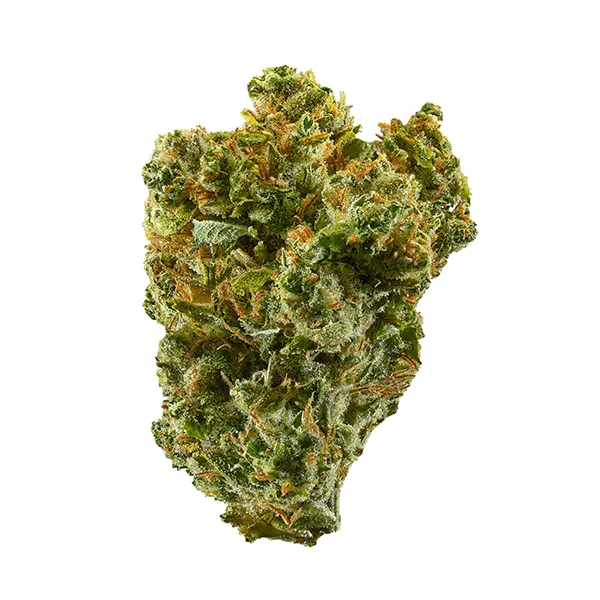 Bud image for Super Silver Haze, cannabis all products by Kronic