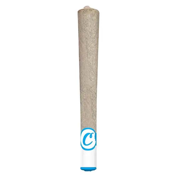 TQ Sunrise Ceramic Tip Pre-Roll