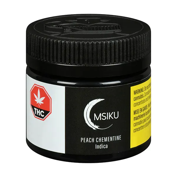 Peach Chementine (Dried Flower) by MSIKU