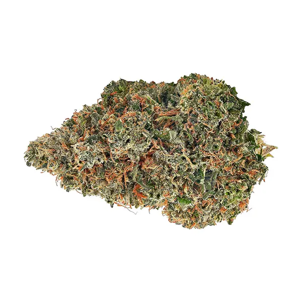 Product image for Bud Lafleur Cannabis Flower by Cielo Verde Quebec Inc