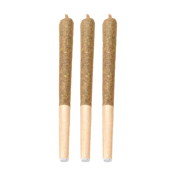 Detroit Runtz Pre-roll (Pre-Rolls) by Bud Lafleur