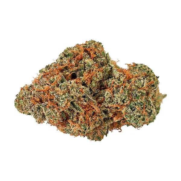 Bud image for Moby Dick, cannabis all products by Bud Lafleur