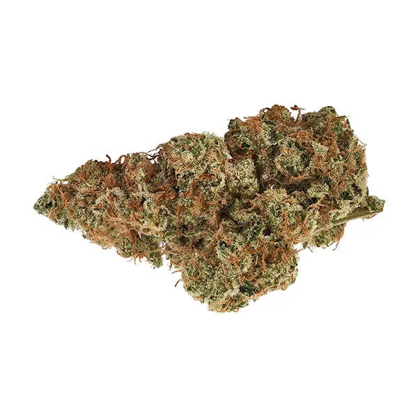 Bud image for Obi Star, cannabis dried flower by Bud Lafleur