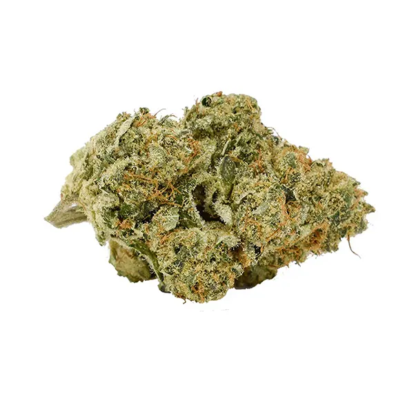 Bud image for Mmmosa EVO, cannabis all products by CALI