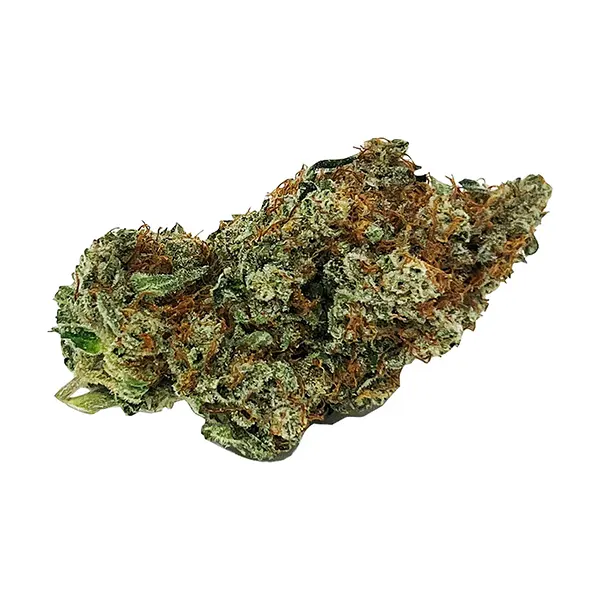 Bud image for Cali 7.0, cannabis dried flower by CALI