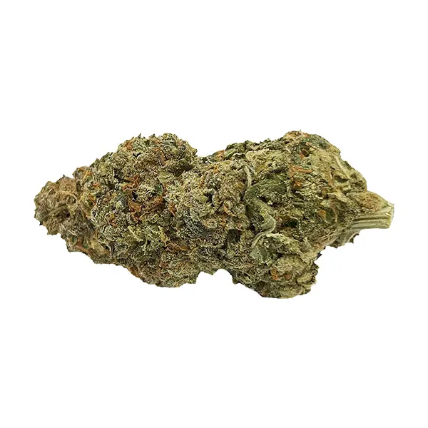 Bud image for Wizard of Ouncez - Sativa, cannabis dried flower by CALI