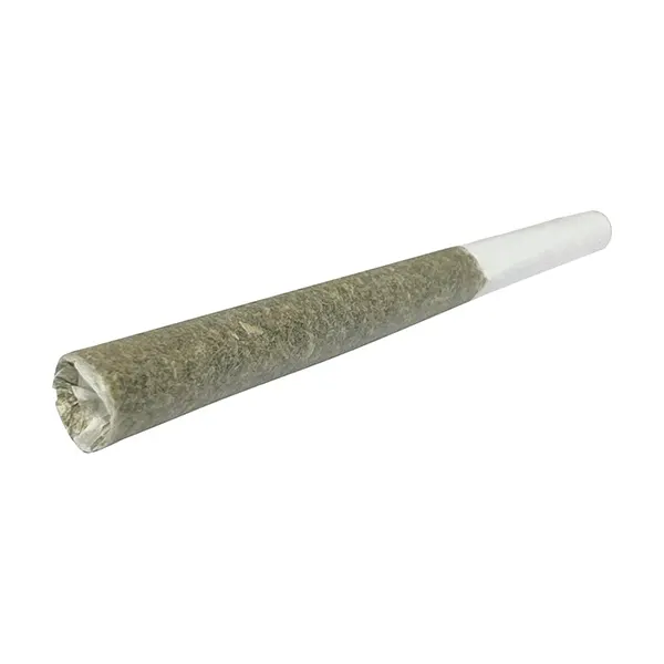 Cannon Pre-Roll