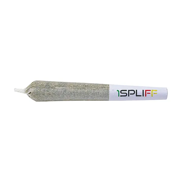 Spliff Caddy Pre-Roll