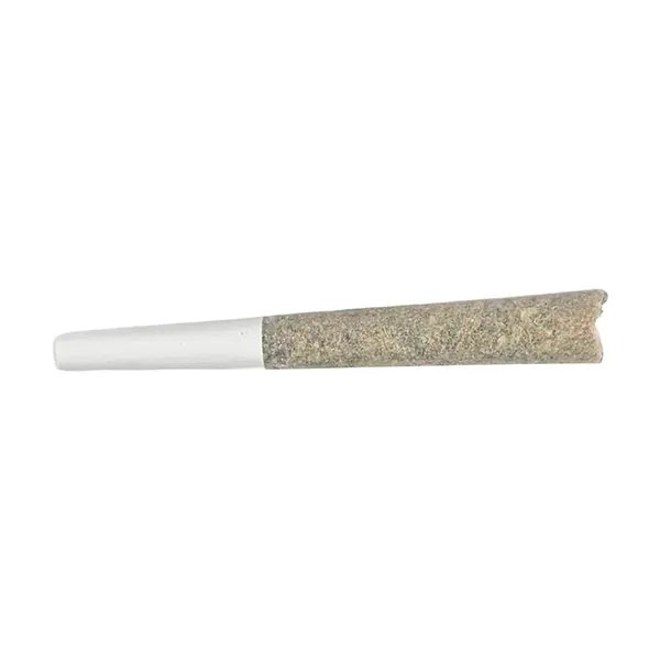 The Point Five Pre-Roll