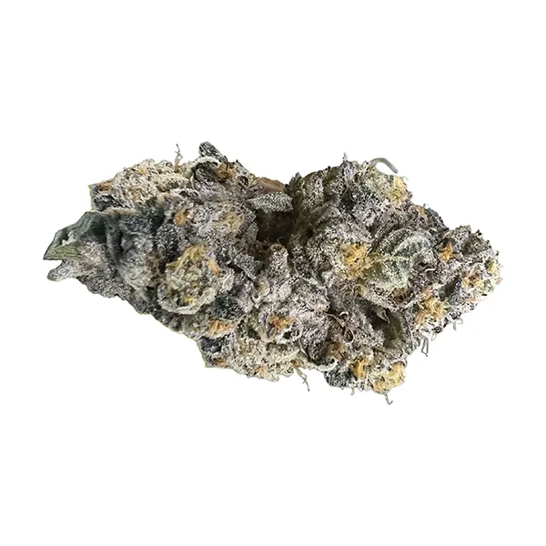 Product image for HighXotic Cannabis Flower by Novoman Medicals