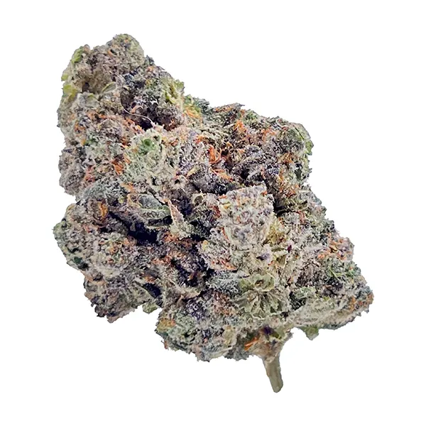 Product image for HighXotic Cannabis Flower by Novoman Medicals