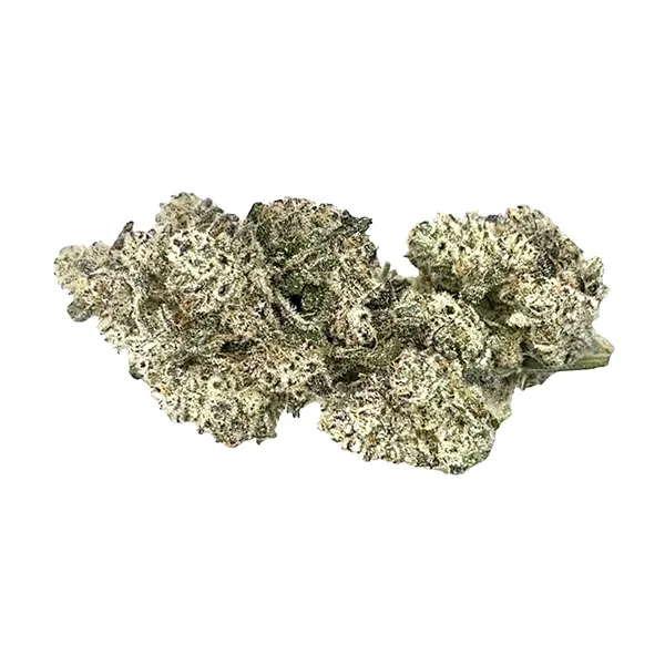 Product image for HighXotic Cannabis Flower by Novoman Medicals