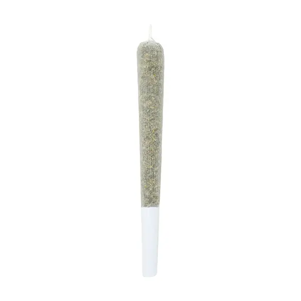 Image for Tiger Berry Infused Pre-Roll, cannabis all products by Lamplighter