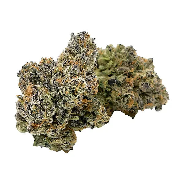 Bud image for RNTZ, cannabis all products by Strains Limited