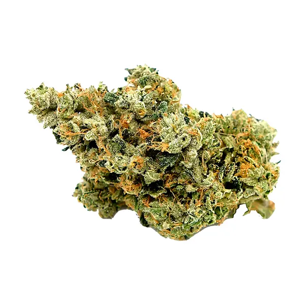 Bud image for Varnish Vapor, cannabis dried flower by Strains Limited