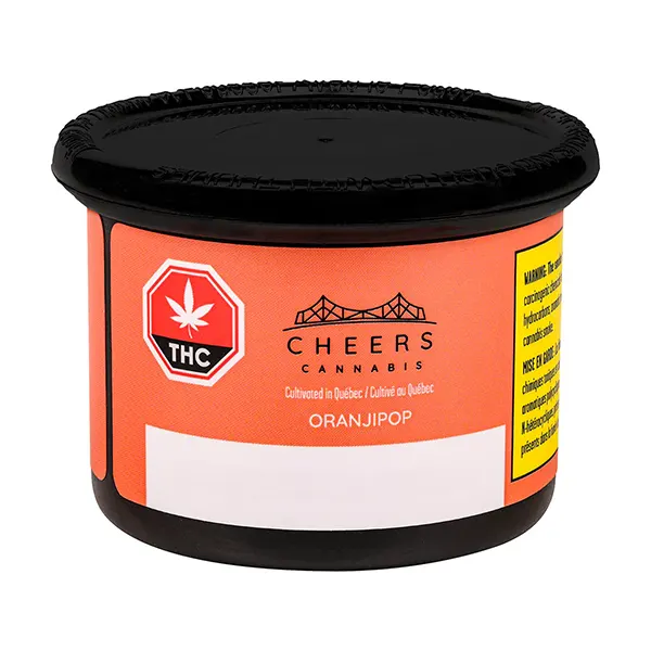 Oranjipop (Dried Flower) by Cheers Cannabis