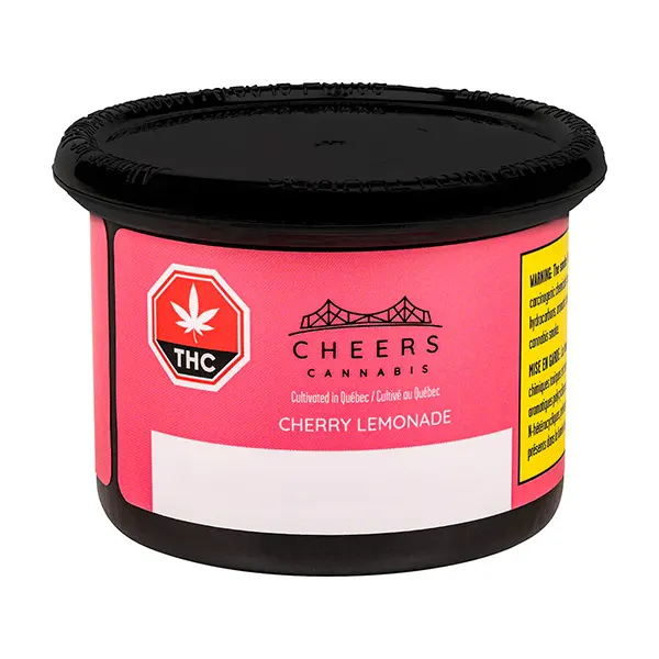 Cherry Lemonade (Dried Flower) by Cheers Cannabis