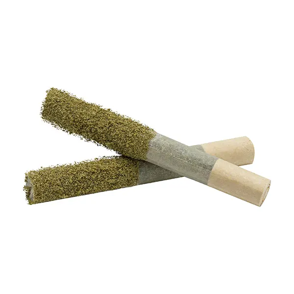 Loco Berry Dusted Dank 1s Infused Pre-Roll