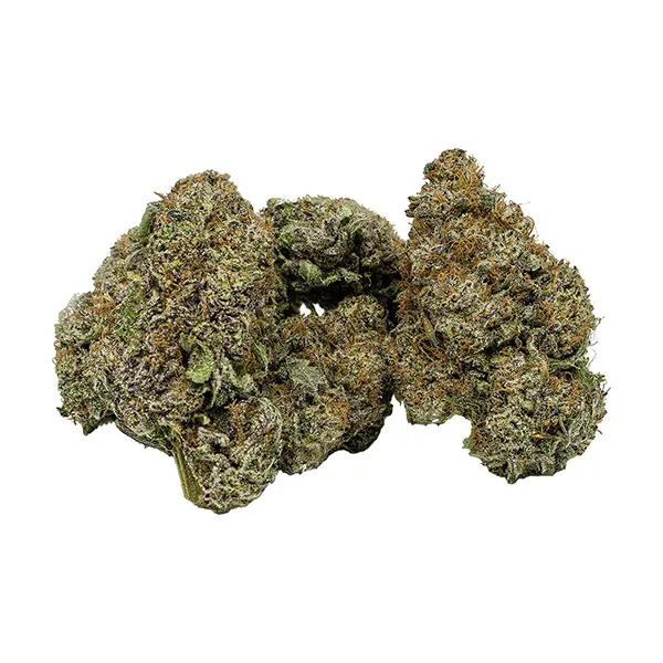 Bud image for The Za, cannabis dried flower by Endgame