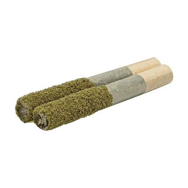 Terpgasm Dusted Dank 1s Infused Pre-Roll