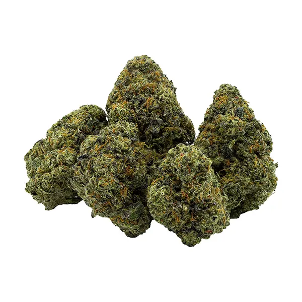 Bud image for Unruly OG, cannabis dried flower by Endgame