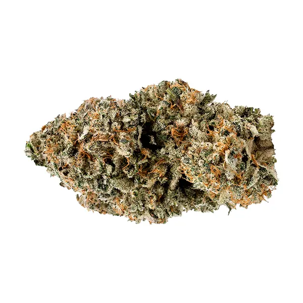 Bud image for Nugszilla, cannabis all products by Volo