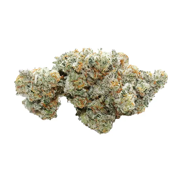 Bud image for Marshmallow Milk, cannabis all products by Volo