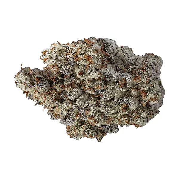 Bud image for lil volos, cannabis all products by Volo